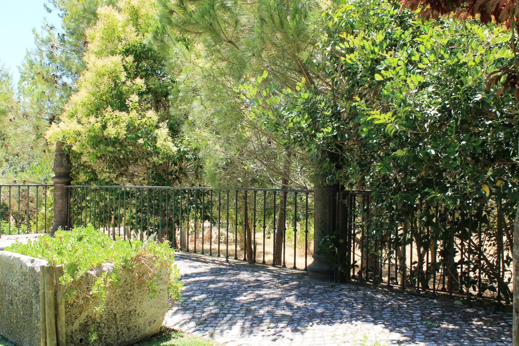 Quinta Do Casal De Santo Antonio Villa Аленкер Екстериор снимка