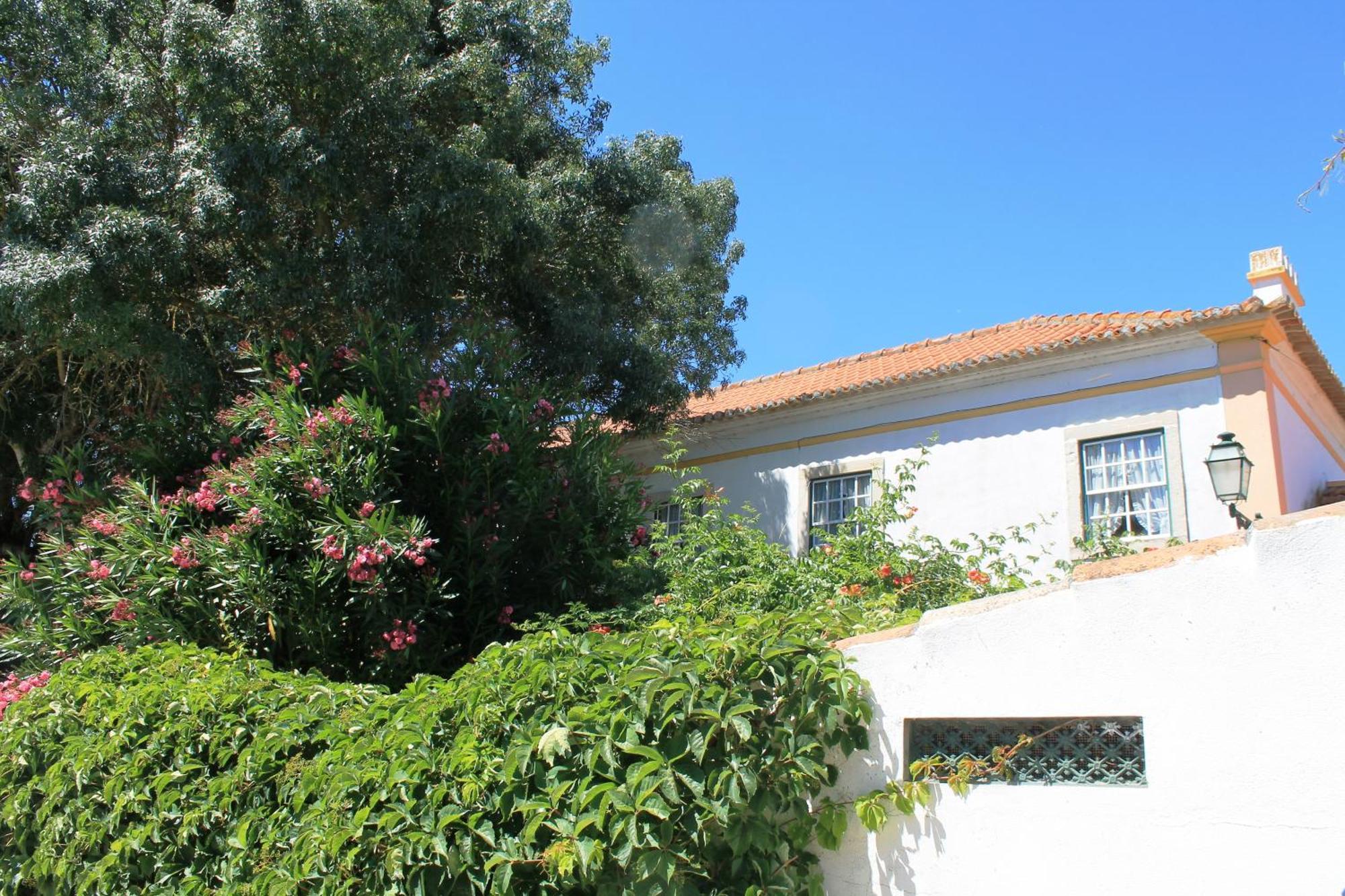 Quinta Do Casal De Santo Antonio Villa Аленкер Екстериор снимка