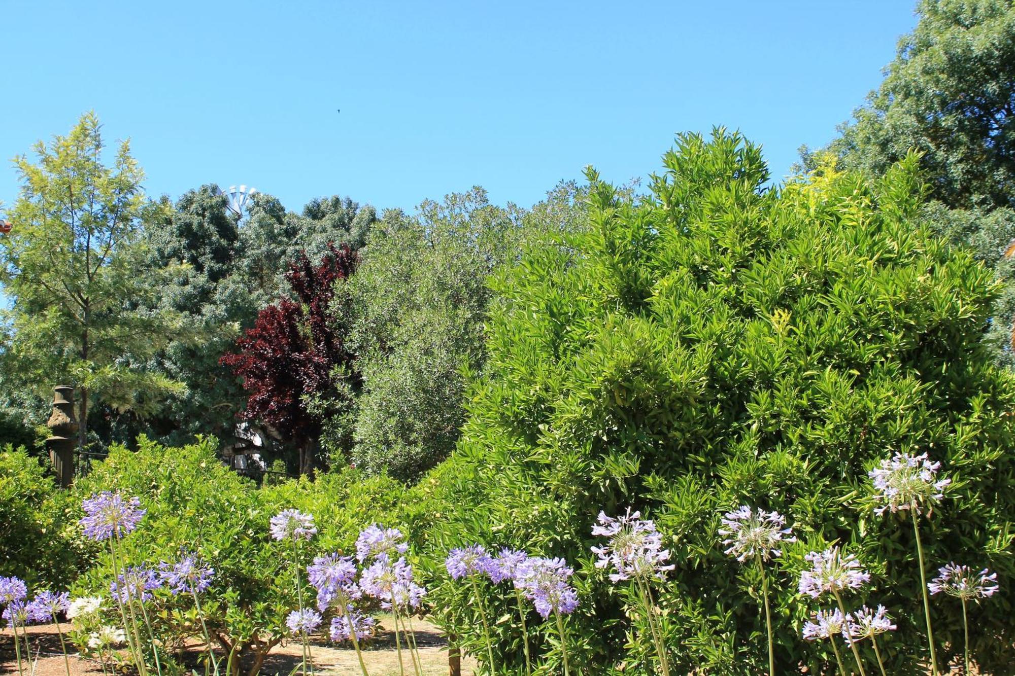 Quinta Do Casal De Santo Antonio Villa Аленкер Екстериор снимка