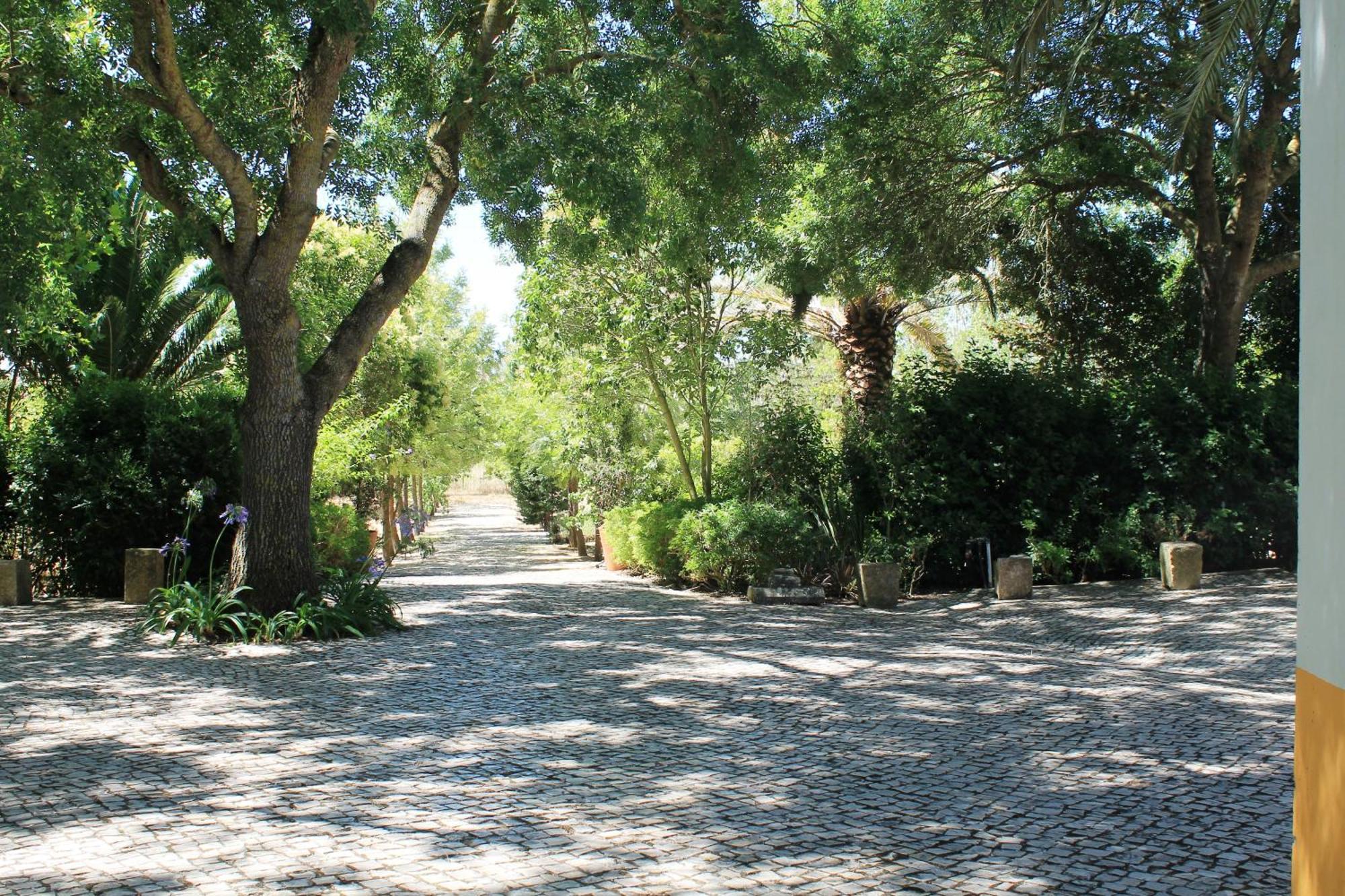 Quinta Do Casal De Santo Antonio Villa Аленкер Екстериор снимка