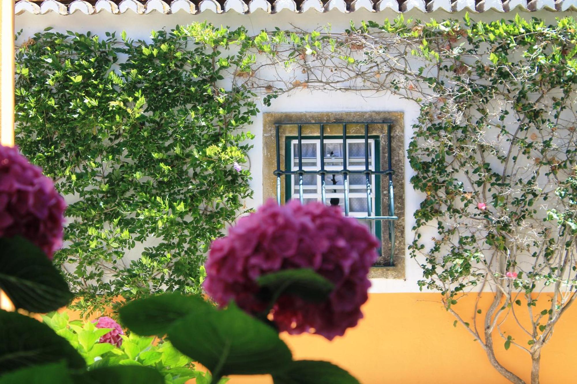 Quinta Do Casal De Santo Antonio Villa Аленкер Екстериор снимка